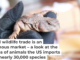 U.S. Fish and Wildlife agents inspect a shipment of reptiles at the Port of Miami. U.S. GAO
